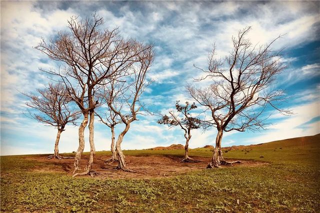 乾港集團高層草原自駕游